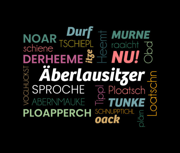 #ÄBERLAUSITZER SPROCHE BUNT - Herren Premium Shirt – Bild 5